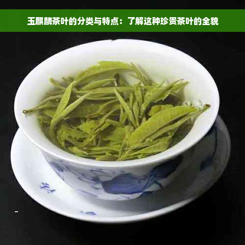 玉麒麟茶叶的分类与特点：了解这种珍贵茶叶的全貌