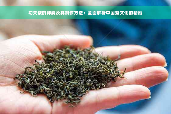 功夫茶的种类及其制作方法：全面解析中国茶文化的精髓