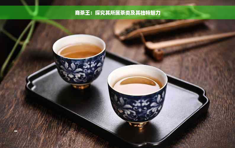 商茶王：探究其所属茶类及其独特魅力