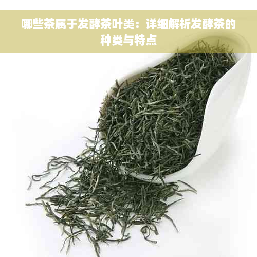 哪些茶属于发酵茶叶类：详细解析发酵茶的种类与特点