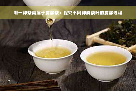 哪一种茶类属于发酵茶：探究不同种类茶叶的发酵过程