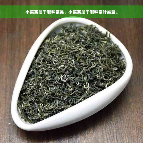 小菜茶属于哪种茶类，小菜茶属于哪种茶叶类型。