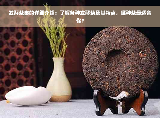 发酵茶类的详细介绍：了解各种发酵茶及其特点，哪种茶最适合你？