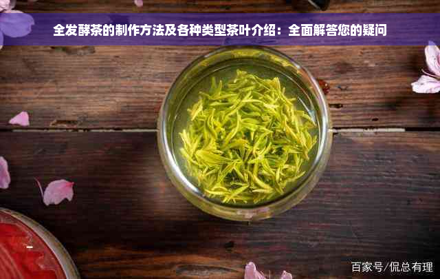 全发酵茶的制作方法及各种类型茶叶介绍：全面解答您的疑问