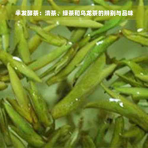 半发酵茶：清茶、绿茶和乌龙茶的辨别与品味