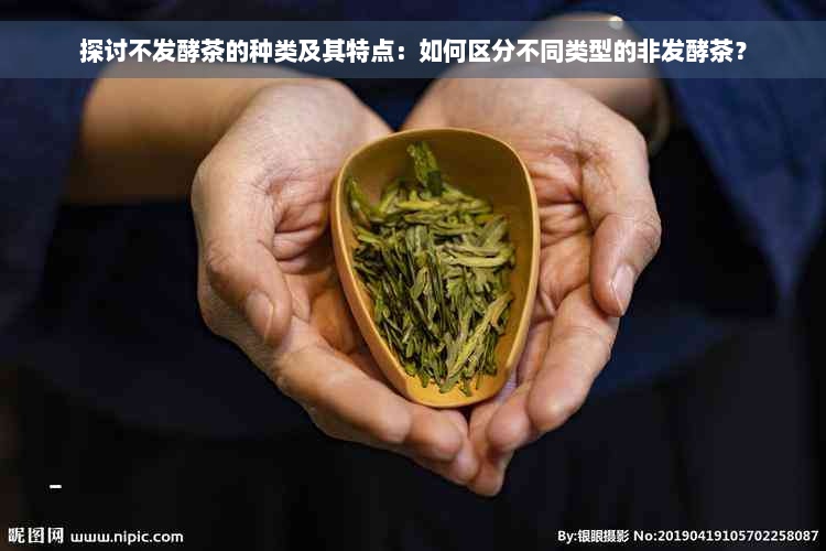 探讨不发酵茶的种类及其特点：如何区分不同类型的非发酵茶？