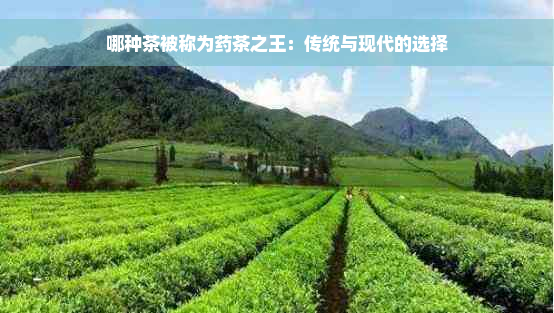 哪种茶被称为药茶之王：传统与现代的选择