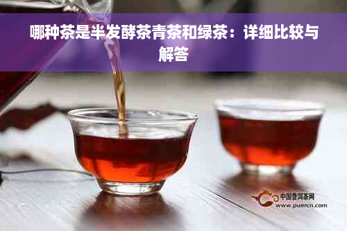 哪种茶是半发酵茶青茶和绿茶：详细比较与解答