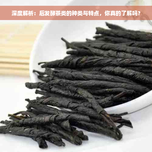 深度解析：后发酵茶类的种类与特点，你真的了解吗？