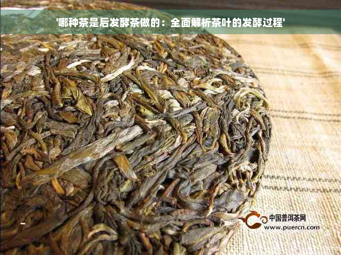 '哪种茶是后发酵茶做的：全面解析茶叶的发酵过程'