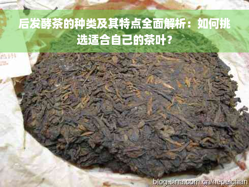 后发酵茶的种类及其特点全面解析：如何挑选适合自己的茶叶？