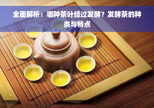 全面解析：哪种茶叶经过发酵？发酵茶的种类与特点