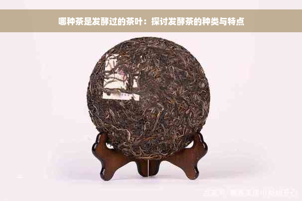 哪种茶是发酵过的茶叶：探讨发酵茶的种类与特点