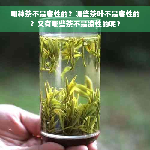 哪种茶不是寒性的？哪些茶叶不是寒性的？又有哪些茶不是凉性的呢？