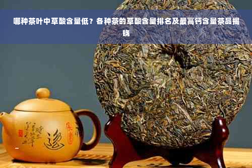 哪种茶叶中草酸含量低？各种茶的草酸含量排名及更高钙含量茶品揭晓