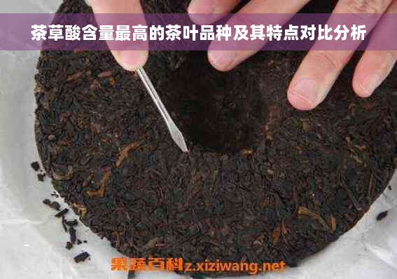 茶草酸含量更高的茶叶品种及其特点对比分析