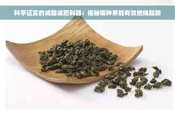 科学证实的减脂减肥利器：揭秘哪种茶能有效燃烧脂肪