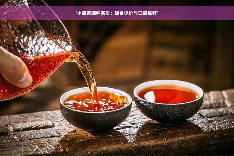 '小罐茶哪种茶闻：综合评价与口感推荐'