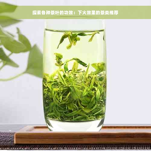 探索各种茶叶的功效：下火效果的茶类推荐