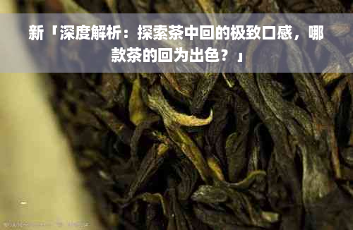 新「深度解析：探索茶中回的极致口感，哪款茶的回为出色？」