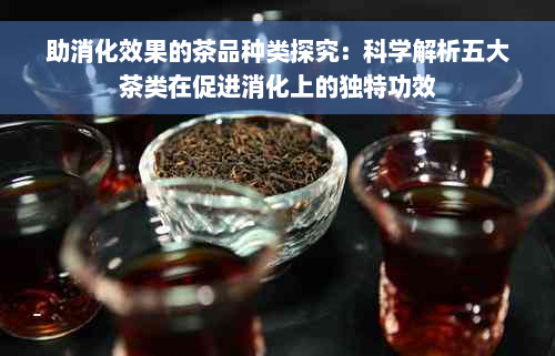 助消化效果的茶品种类探究：科学解析五大茶类在促进消化上的独特功效