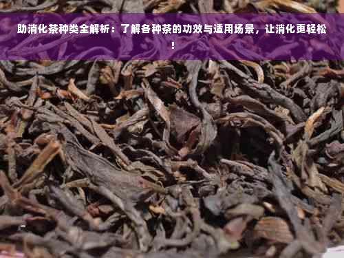 助消化茶种类全解析：了解各种茶的功效与适用场景，让消化更轻松！