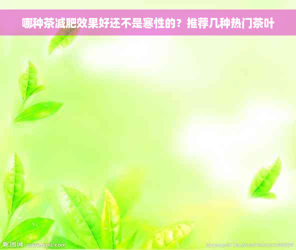 哪种茶减肥效果好还不是寒性的？推荐几种热门茶叶