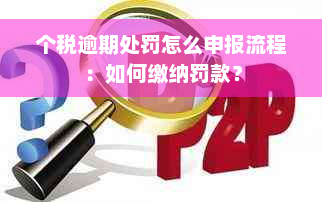 个税逾期处罚怎么申报流程：如何缴纳罚款？