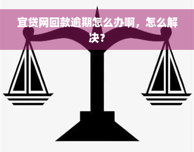 宜贷网回款逾期怎么办啊，怎么解决？