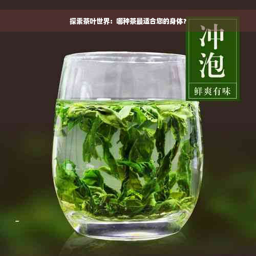 探索茶叶世界：哪种茶最适合您的身体？