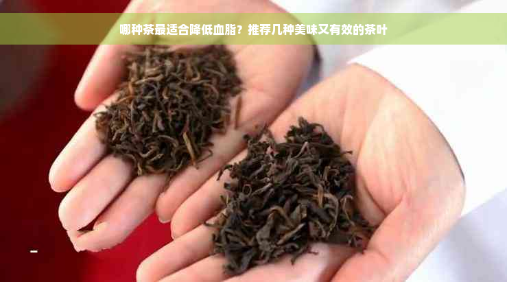 哪种茶最适合降低血脂？推荐几种美味又有效的茶叶