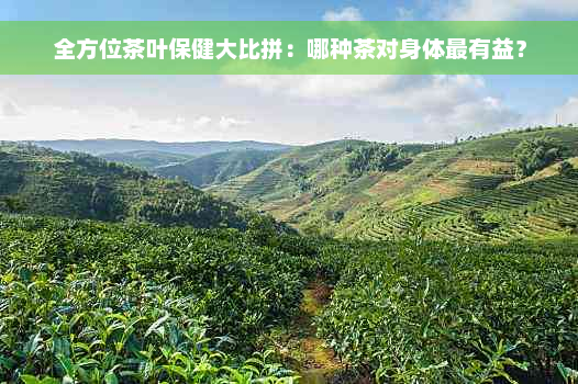 全方位茶叶保健大比拼：哪种茶对身体最有益？