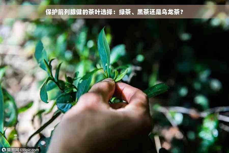 保护前列腺健的茶叶选择：绿茶、黑茶还是乌龙茶？