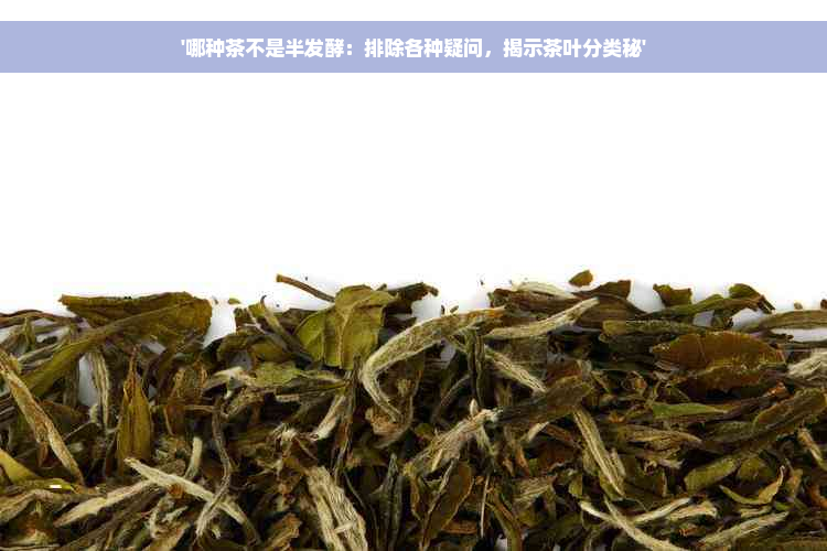 '哪种茶不是半发酵：排除各种疑问，揭示茶叶分类秘'