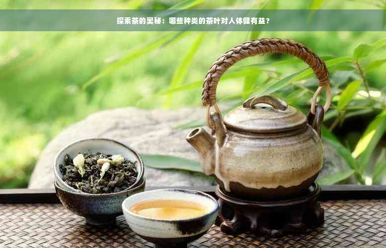 探索茶的奥秘：哪些种类的茶叶对人体健有益？