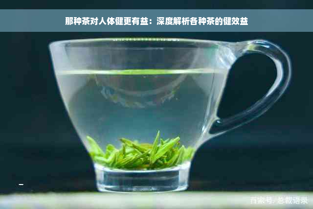 那种茶对人体健更有益：深度解析各种茶的健效益