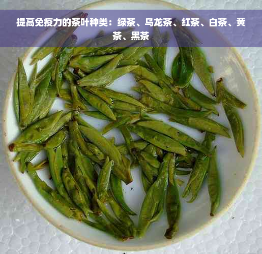 提高免疫力的茶叶种类：绿茶、乌龙茶、红茶、白茶、黄茶、黑茶