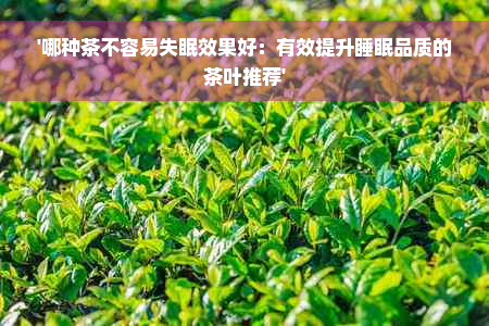 '哪种茶不容易失眠效果好：有效提升睡眠品质的茶叶推荐'