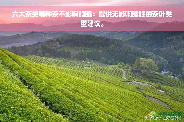 六大茶类哪种茶不影响睡眠：提供无影响睡眠的茶叶类型建议。