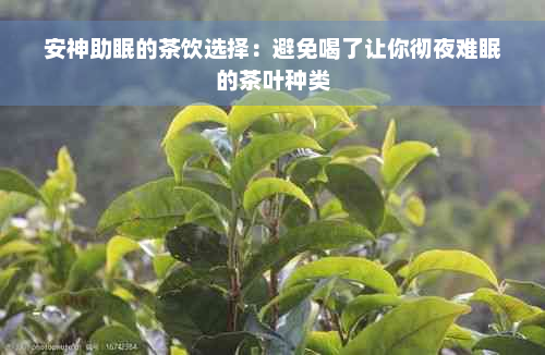 安神助眠的茶饮选择：避免喝了让你彻夜难眠的茶叶种类