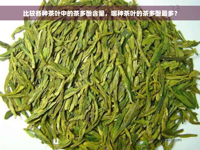 比较各种茶叶中的茶多酚含量，哪种茶叶的茶多酚最多？