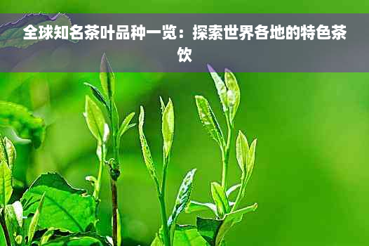 全球知名茶叶品种一览：探索世界各地的特色茶饮