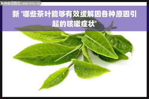 新 '哪些茶叶能够有效缓解因各种原因引起的咳嗽症状'