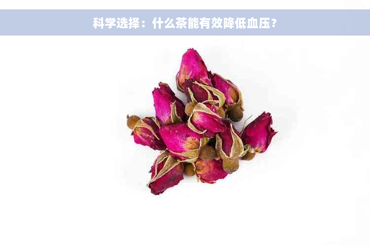 科学选择：什么茶能有效降低血压？