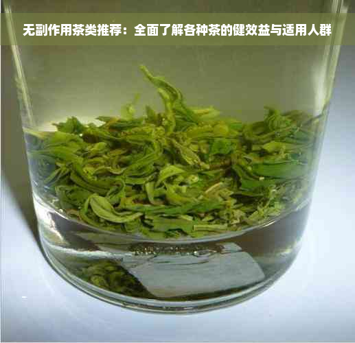 无副作用茶类推荐：全面了解各种茶的健效益与适用人群