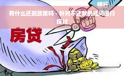 有什么还款政策吗 - 针对不还款的疑问进行探讨