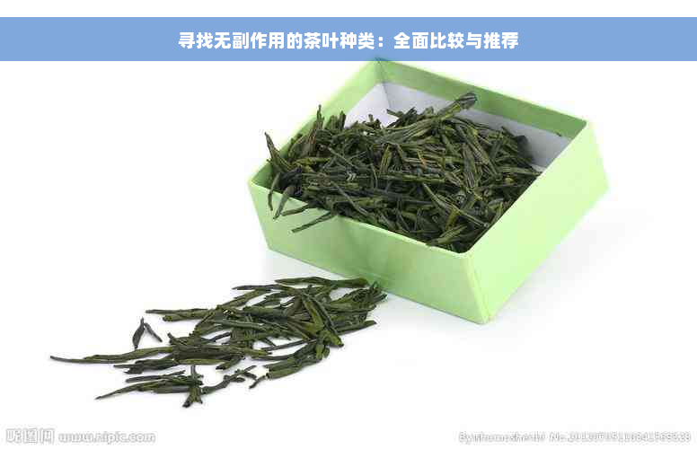 寻找无副作用的茶叶种类：全面比较与推荐