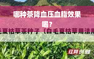 哪种茶降血压血脂效果喝？