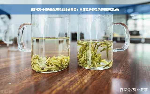 哪种茶叶对降低血压和血脂最有效？全面解析茶品的降压降脂功效