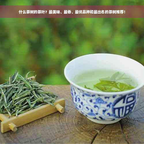 什么茶树的茶叶？最美味、最香、更优品种和最出名的茶树推荐！